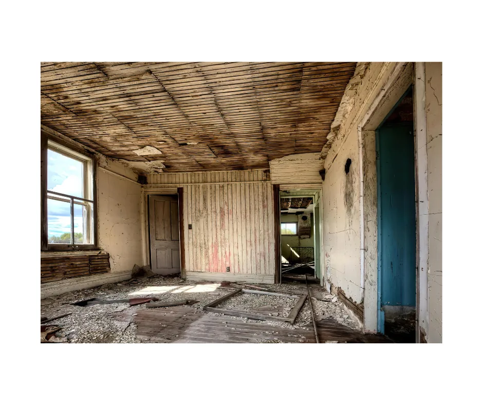 Mold Removal
